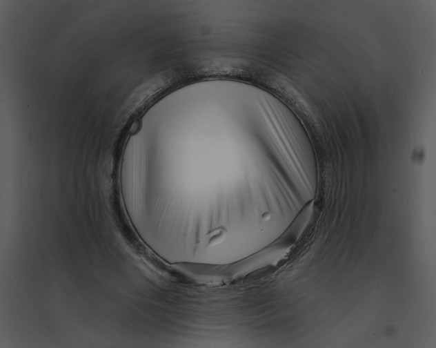 X0000095550490200801041334