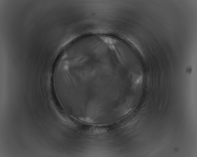 X0000095550491200801041334