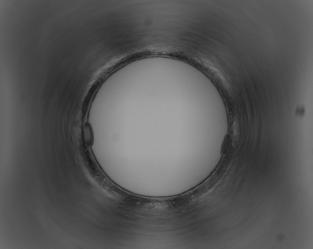 X0000095550492200801041334