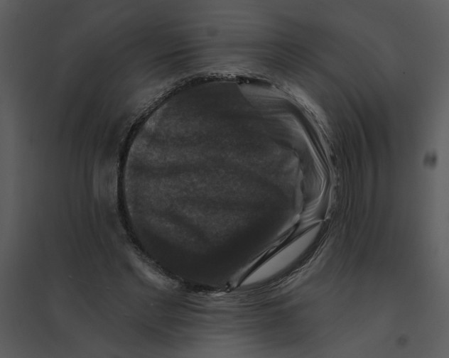 X0000095550493200801041334