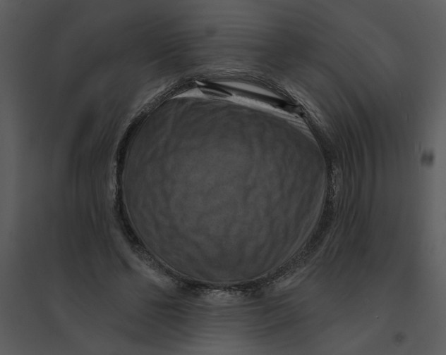 X0000095550494200801041334