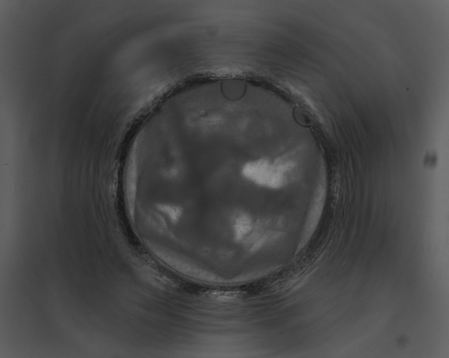 X0000095550495200801041334