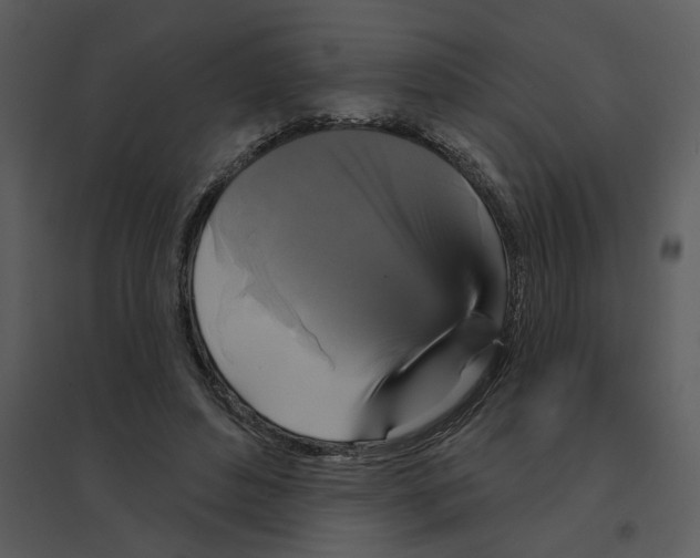 X0000095550496200801041334