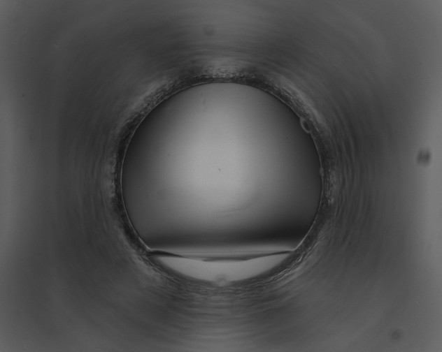 X0000095550497200801041334