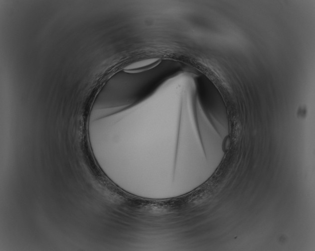 X0000095550498200801041334