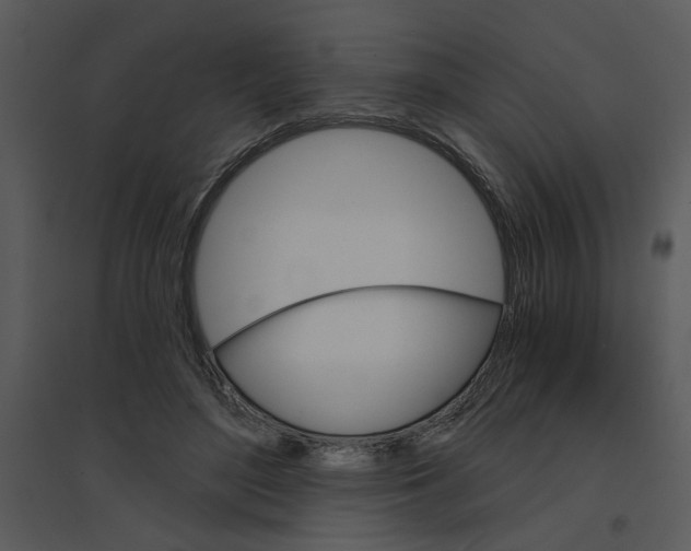 X0000095550500200801041334