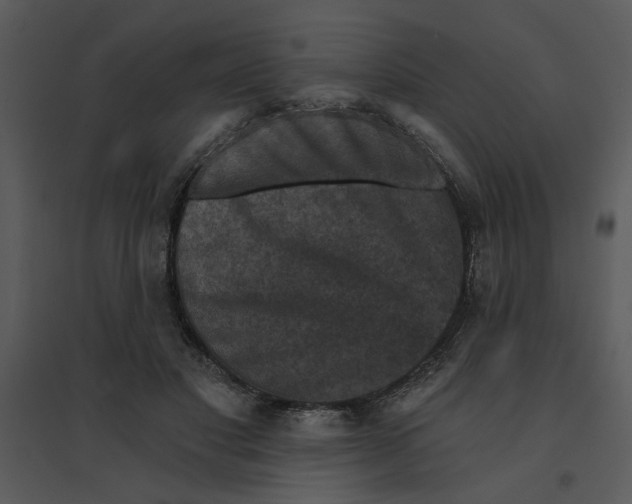 X0000095550501200801041334