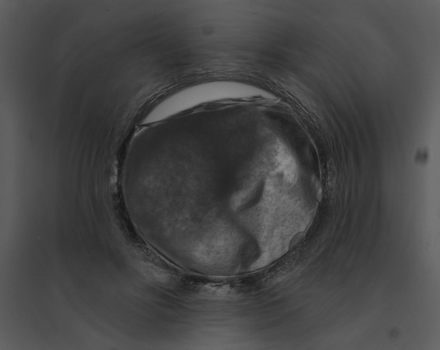 X0000095550502200801041334