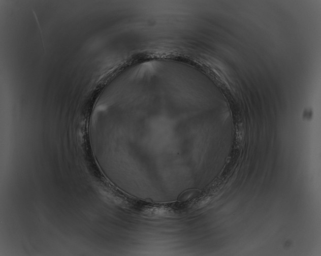 X0000095550503200801041334