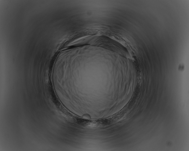 X0000095550504200801041334