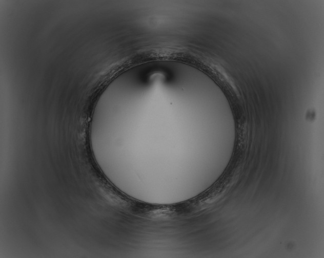 X0000095550505200801041334