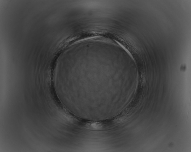 X0000095550506200801041334