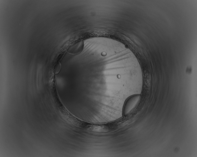 X0000095550507200801041334