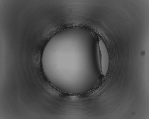 X0000095550509200801041334