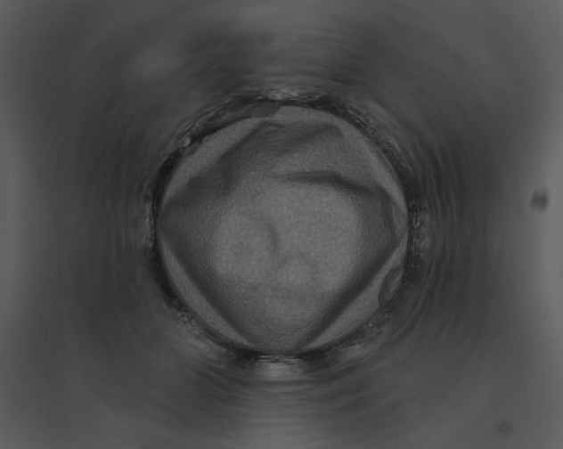 X0000095550510200801041334