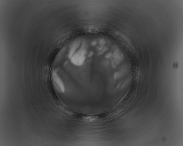 X0000095550511200801041334