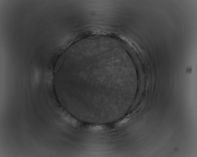 X0000095550513200801041334