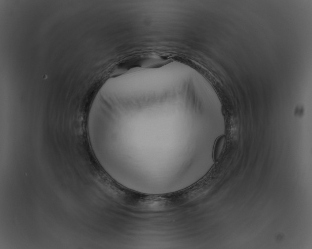 X0000095550514200801041334