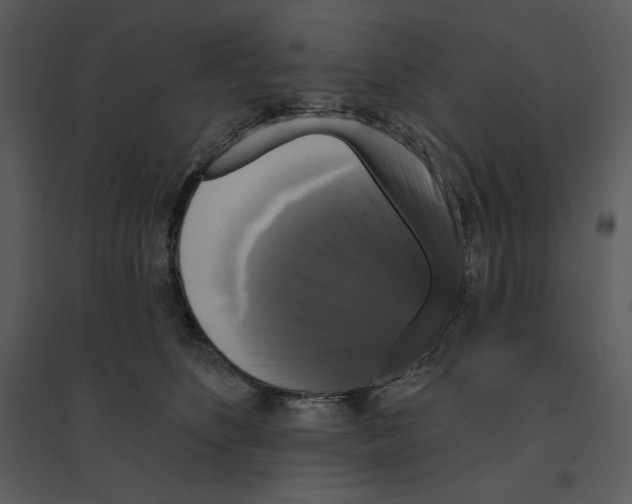 X0000095550516200801041333