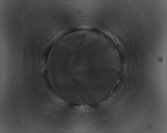 X0000095550517200801041333