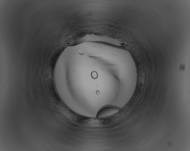 X0000095550518200801041333