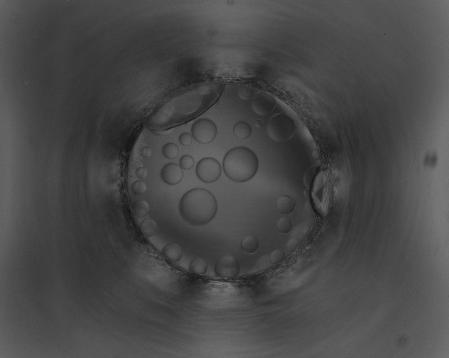 X0000095550519200801041333