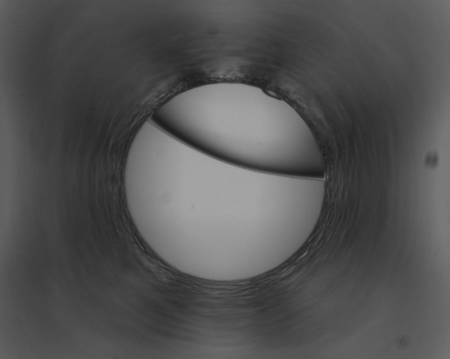 X0000095550521200801041333