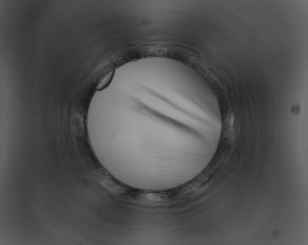 X0000095550522200801041333