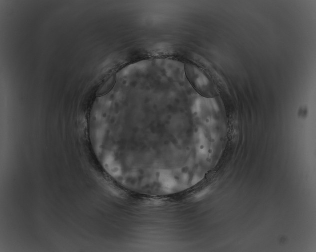 X0000095550523200801041333