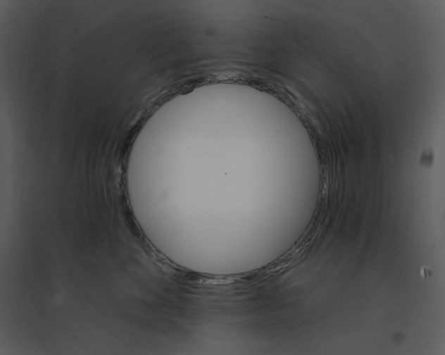 X0000095550524200801041333