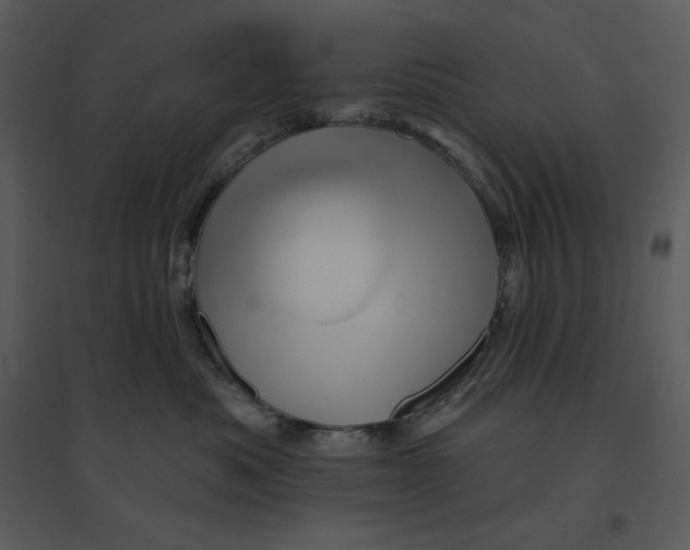 X0000095550525200801041333