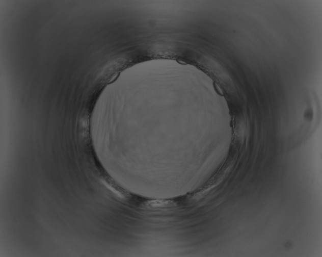 X0000095550526200801041333