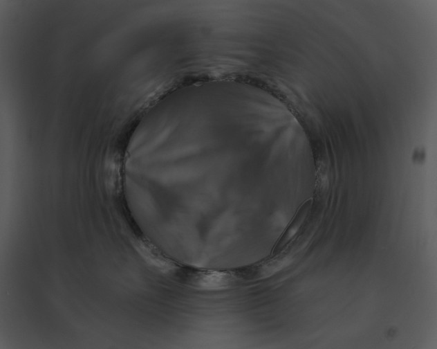 X0000095550527200801041333