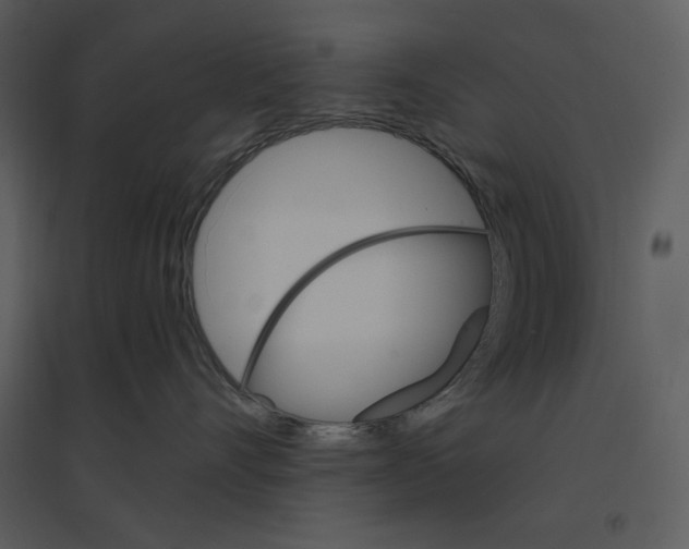 X0000095550528200801041333