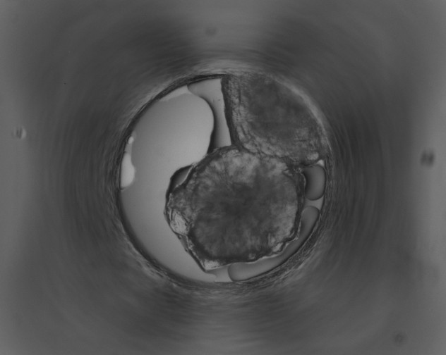 X0000095550529200801041333