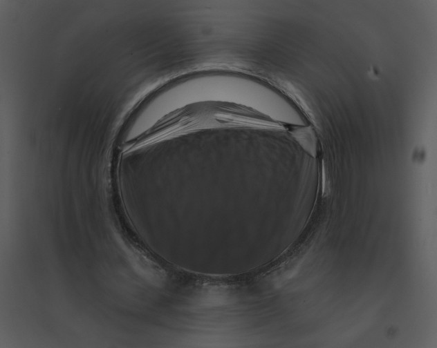 X0000095550531200801041333