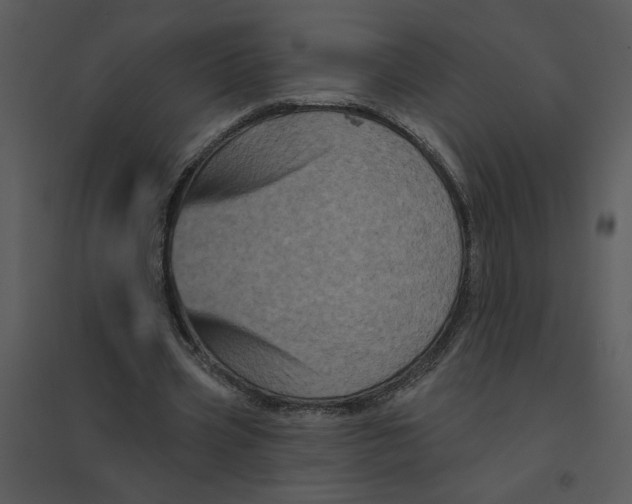 X0000095550533200801041333