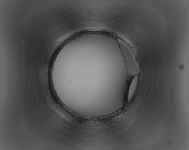 X0000095550535200801041333