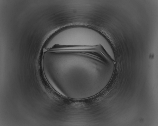 X0000095550536200801041333