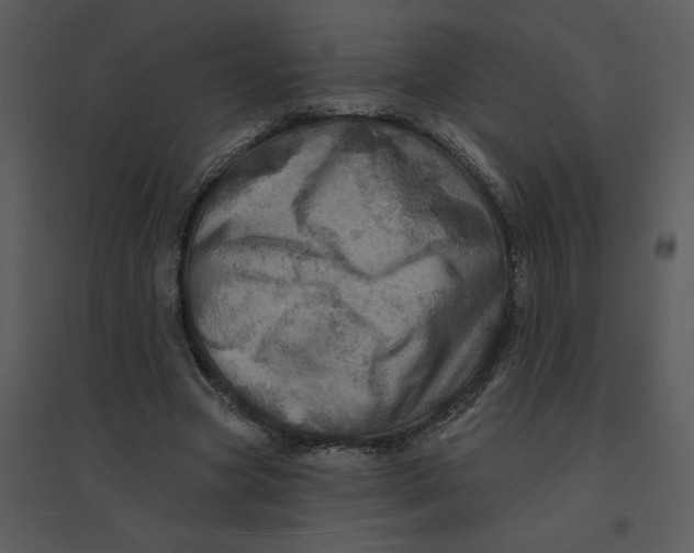 X0000095550537200801041333