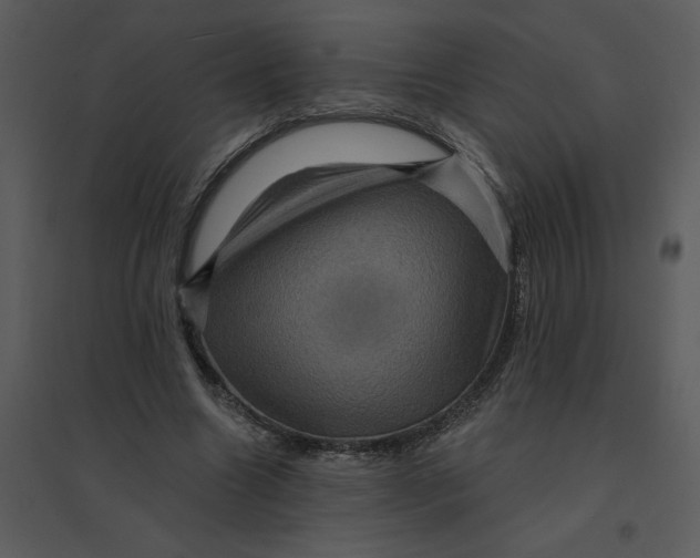 X0000095550538200801041333