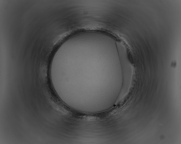 X0000095550539200801041333