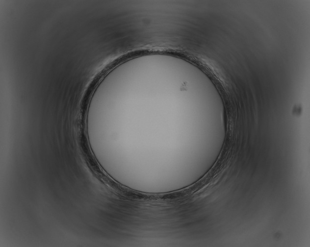 X0000095550540200801041333