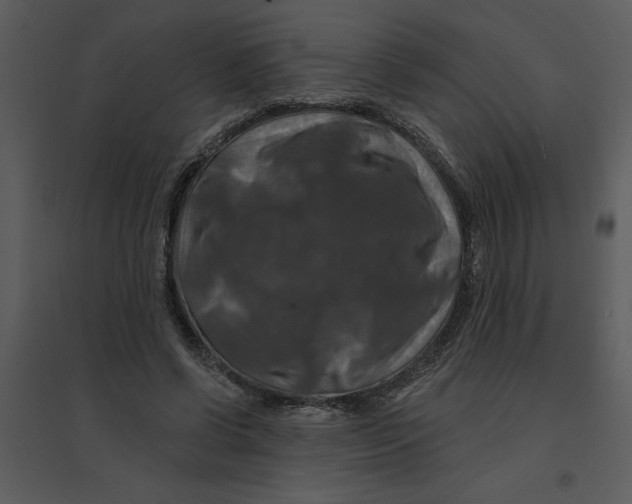 X0000095550542200801041333