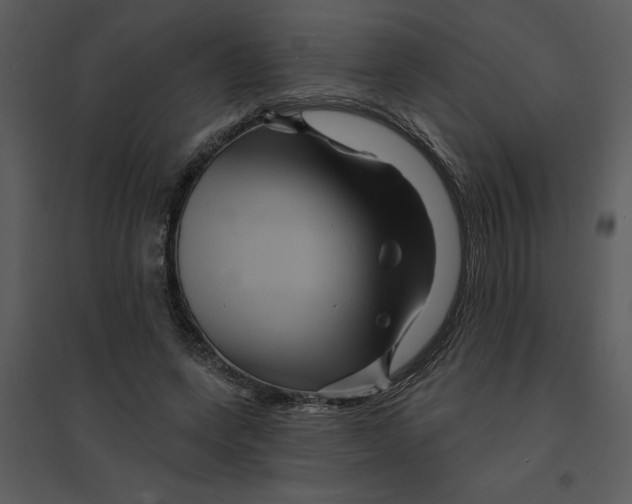 X0000095550543200801041333