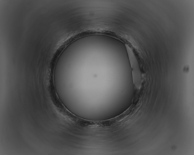 X0000095550544200801041333