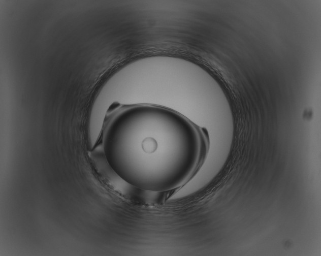 X0000095550546200801041333