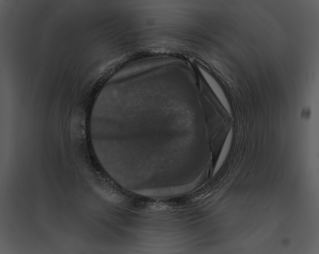 X0000095550547200801041333