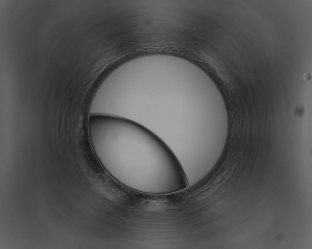 X0000095550548200801041333