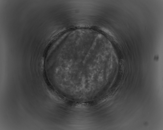 X0000095550550200801041333